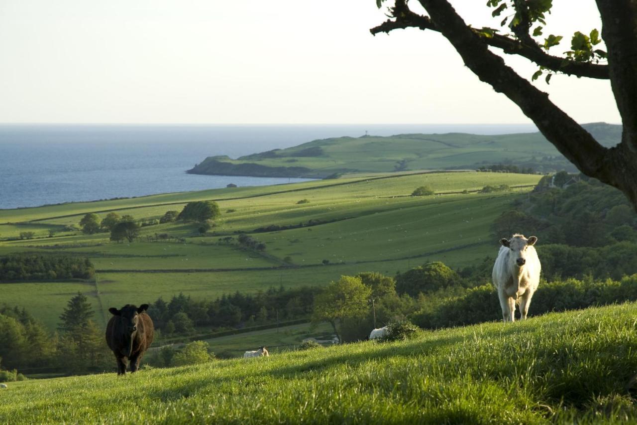 Orroland Holiday Cottages Dundrennan Exterior foto